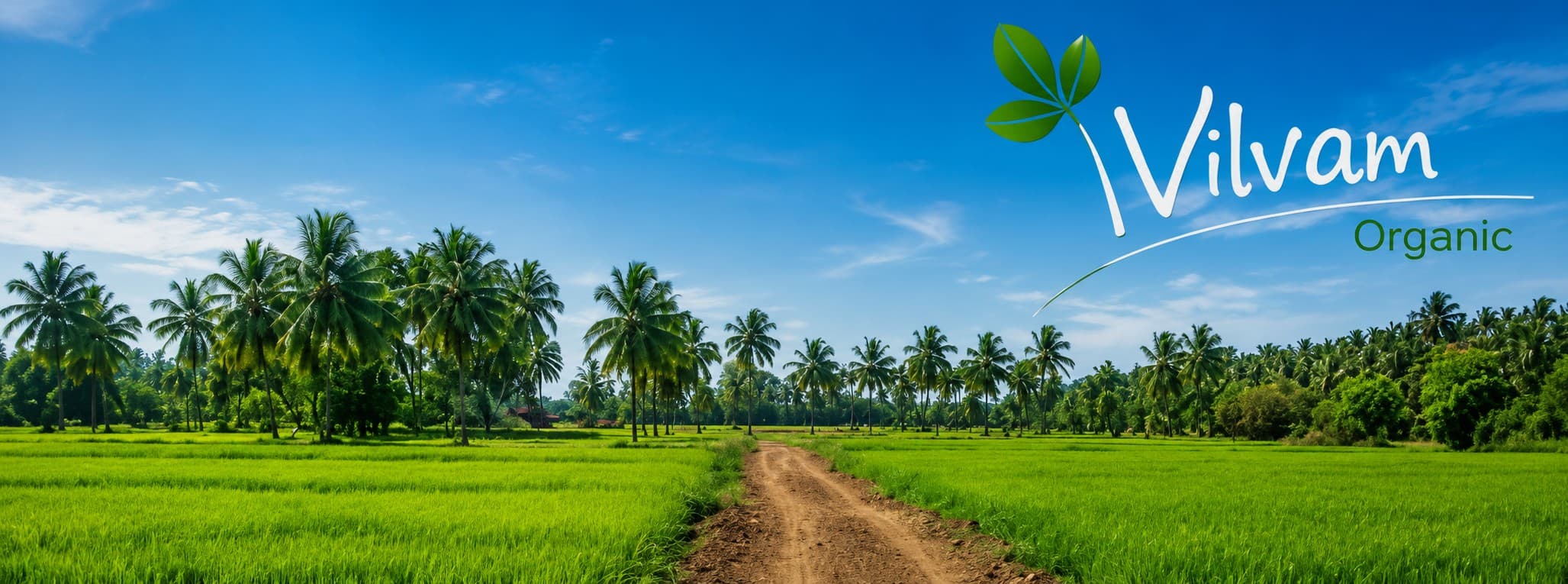 VilvamOrganic — fresh organic produce from Chennai farms